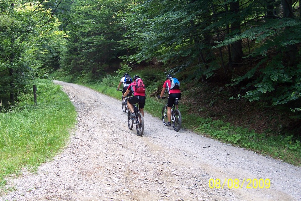 Pohorje 08.08.2009 - foto povečava