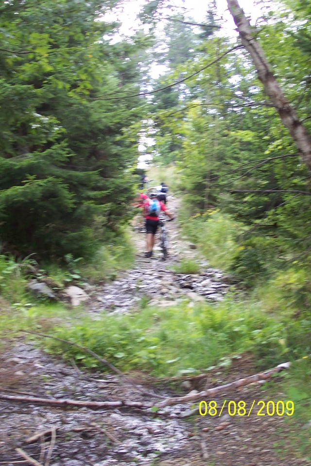 Pohorje 08.08.2009 - foto povečava