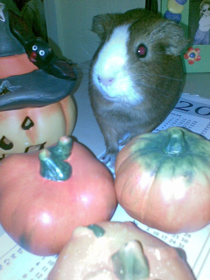 Helloween