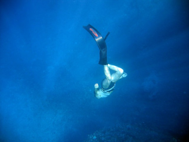 Slike pod vodo - foto