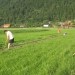 20.6.2008  začetek del na stezi