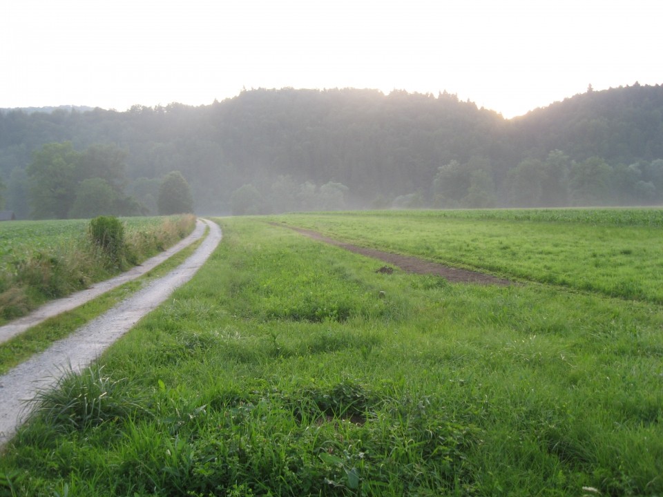 20.6.2008  začetek del na stezi - foto povečava