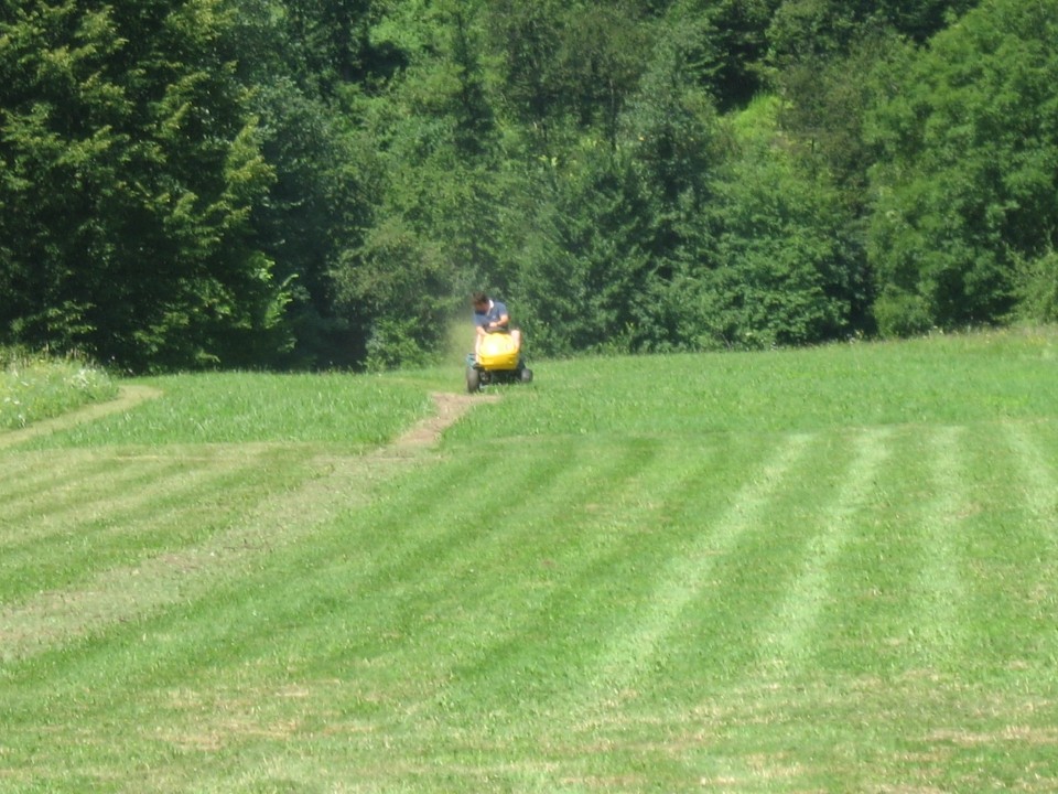 10.7.2008 - foto povečava