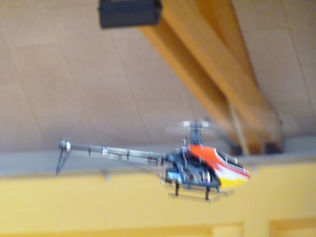 Indor 2010 - foto
