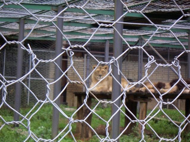 V ljubljanskem živalskem vrtu - foto