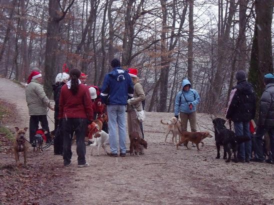 Pohod na Rožnik, 25.12.2008 - foto povečava