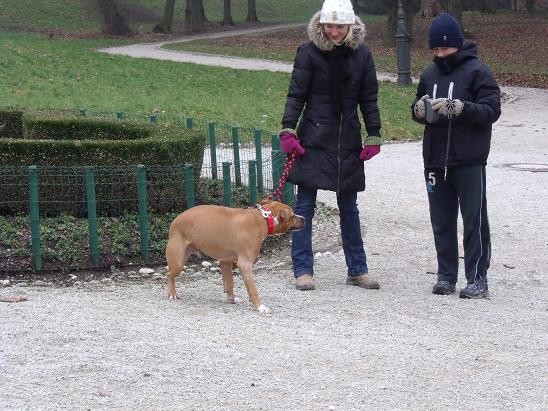 Pohod na Rožnik, 25.12.2008 - foto povečava