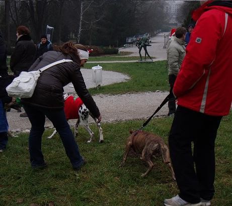 Pohod na Rožnik, 25.12.2008 - foto povečava