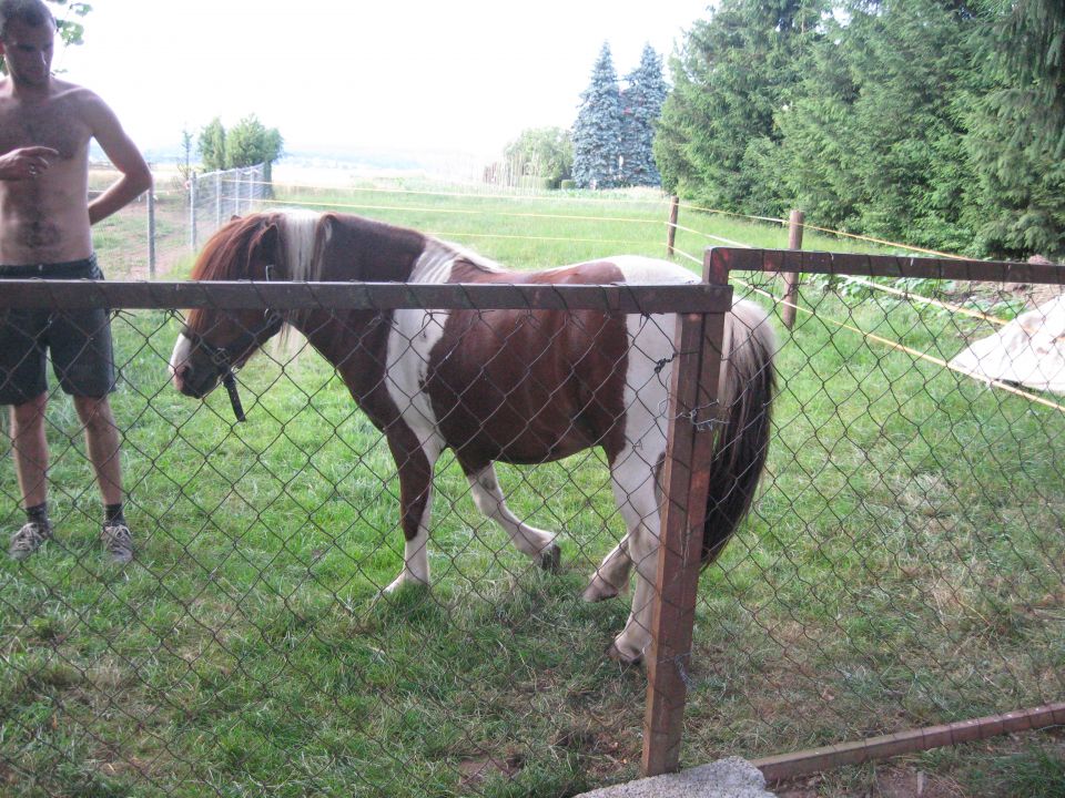 Tinchy in dzoni - foto povečava