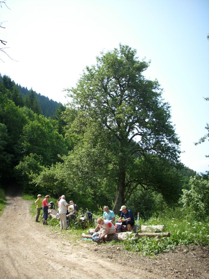 Ljubno-Golte/Milan/ - foto povečava