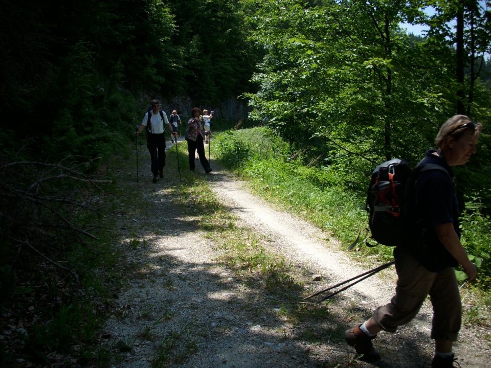 Ljubno-Golte/Milan/ - foto povečava