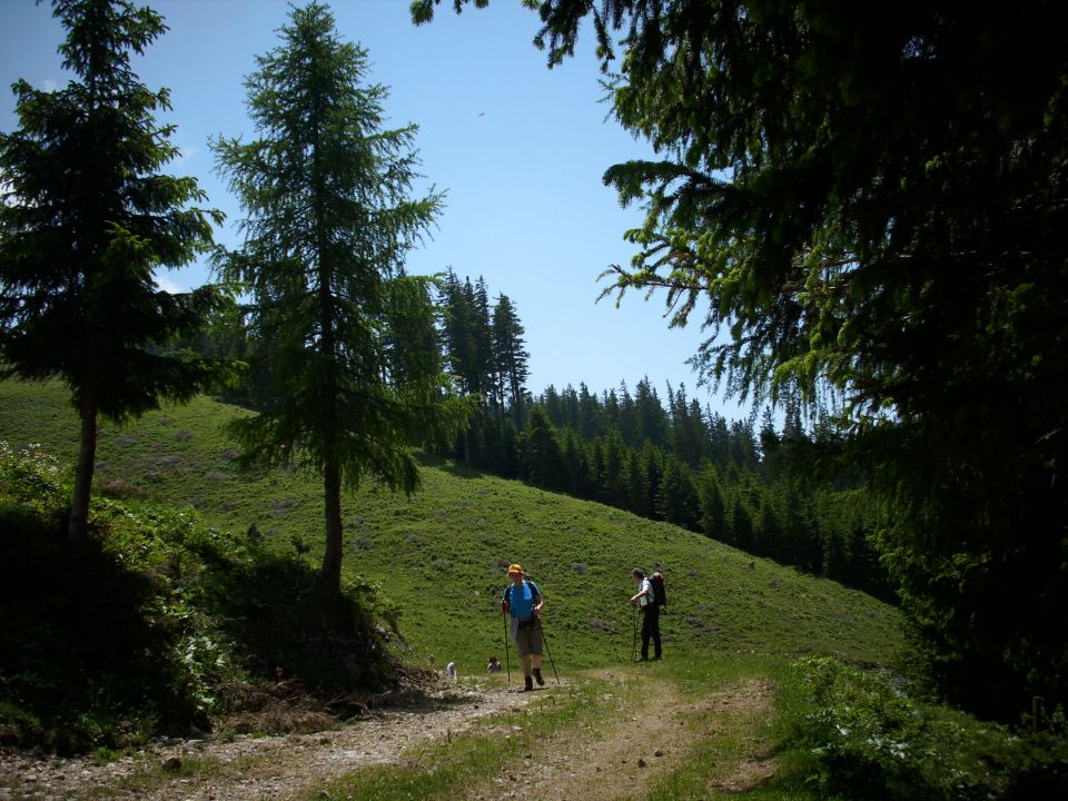 Ljubno-Golte/Milan/ - foto povečava