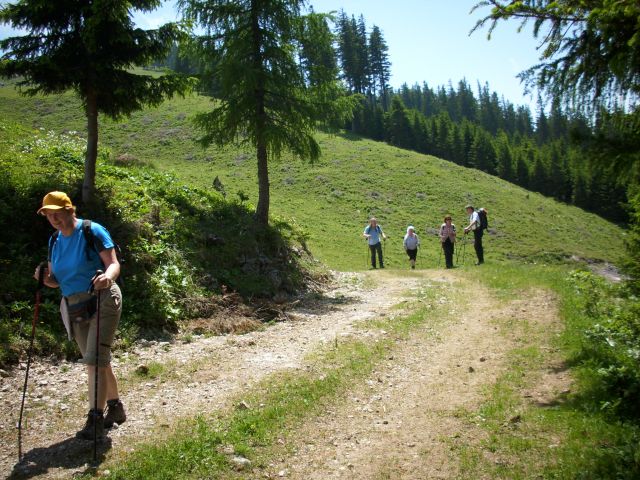 Ljubno-Golte/Milan/ - foto