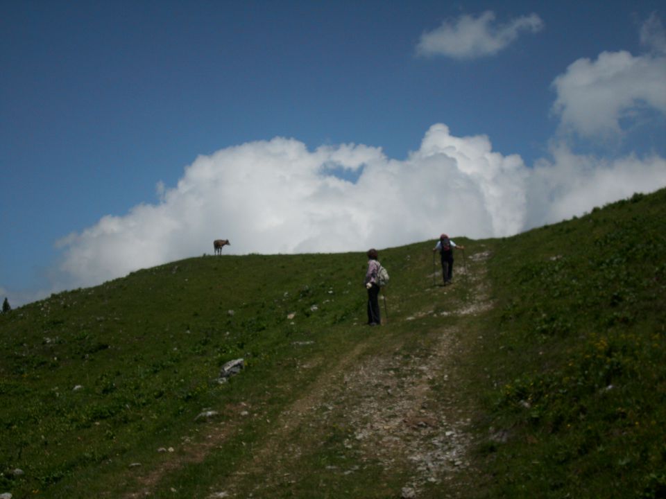 Ljubno-Golte/Milan/ - foto povečava