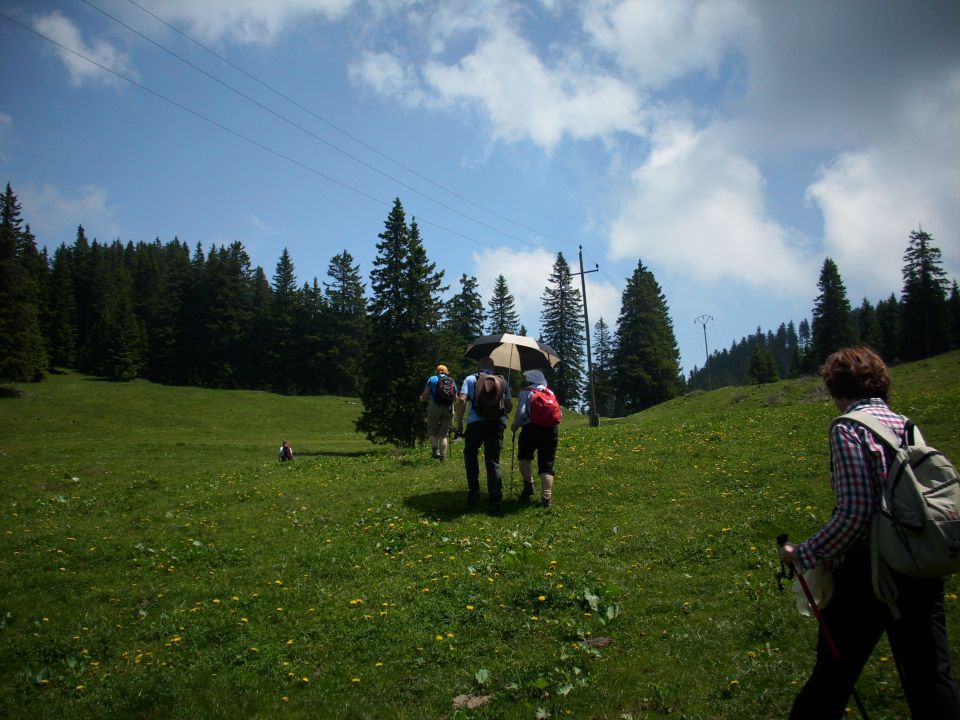 Ljubno-Golte/Milan/ - foto povečava