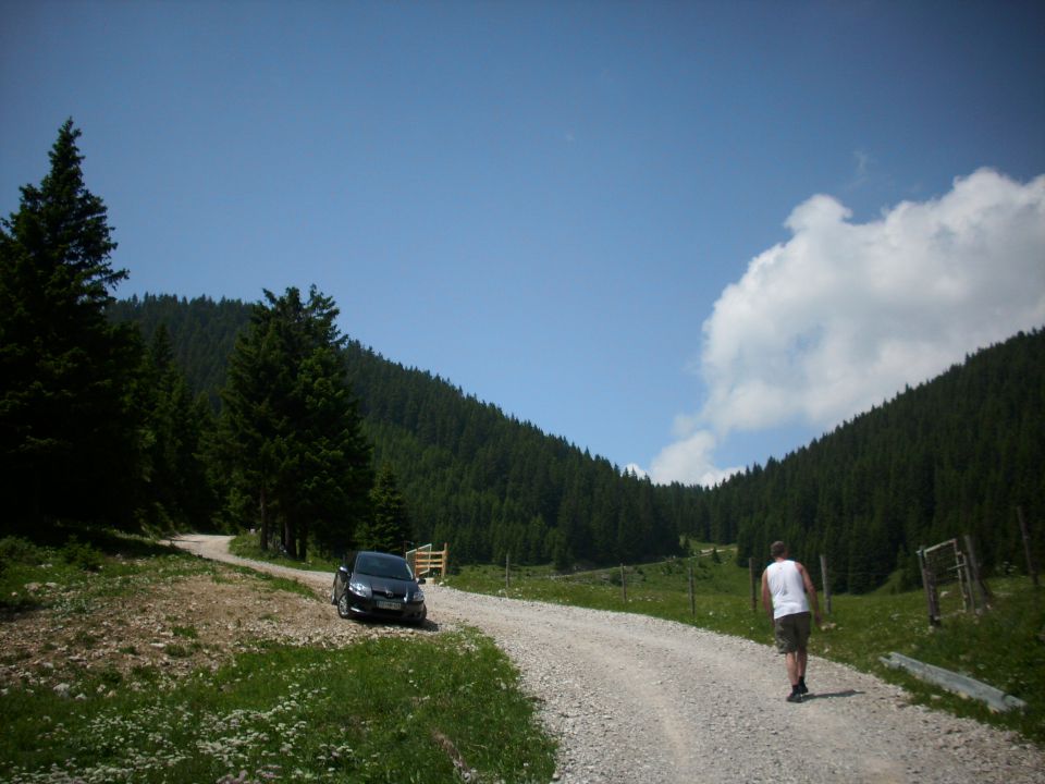 Ljubno-Golte/Milan/ - foto povečava