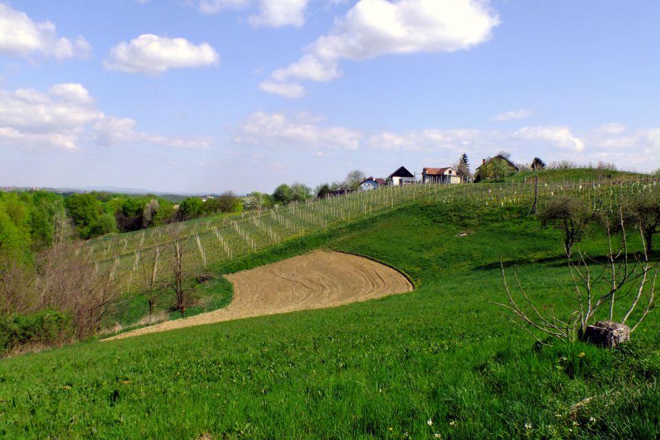 POT KURIRJEV IN VEZISTOV - foto povečava