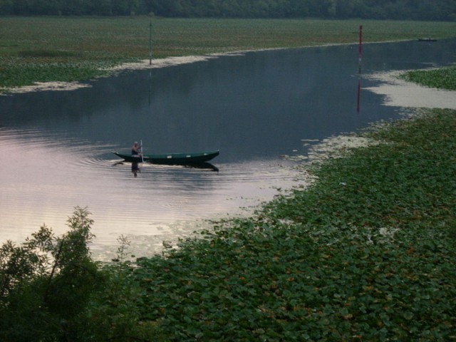 Zaliv Skadarskega jezera v ranem jutru pri Rijeka Crnojevića (CG).
