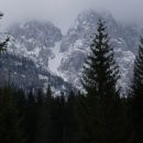 Grapa, ki vodi na sedlo med Palcem in Zelenjakom.