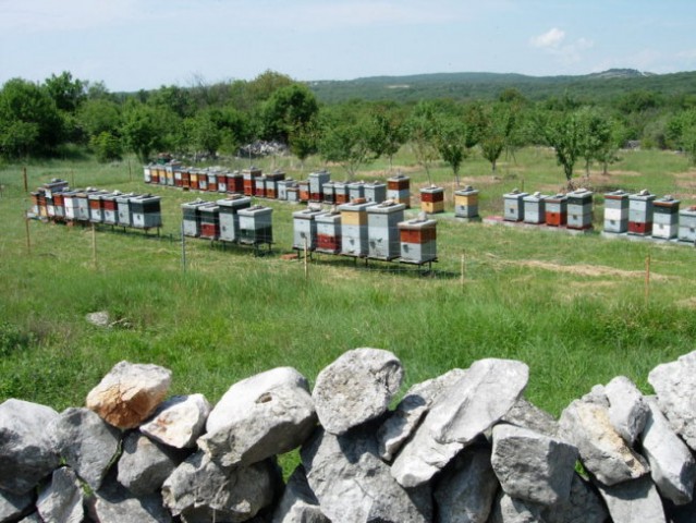 Domačini se ukvarjajo s čebelarstvom..