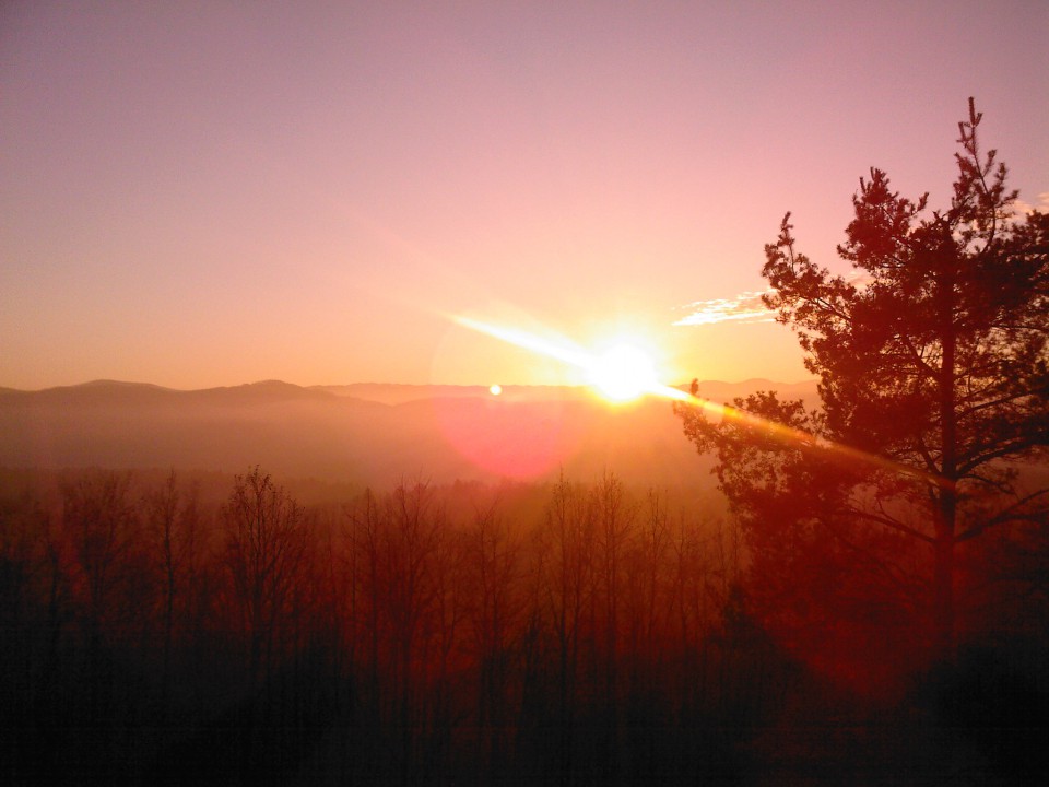 HONKA - foto povečava