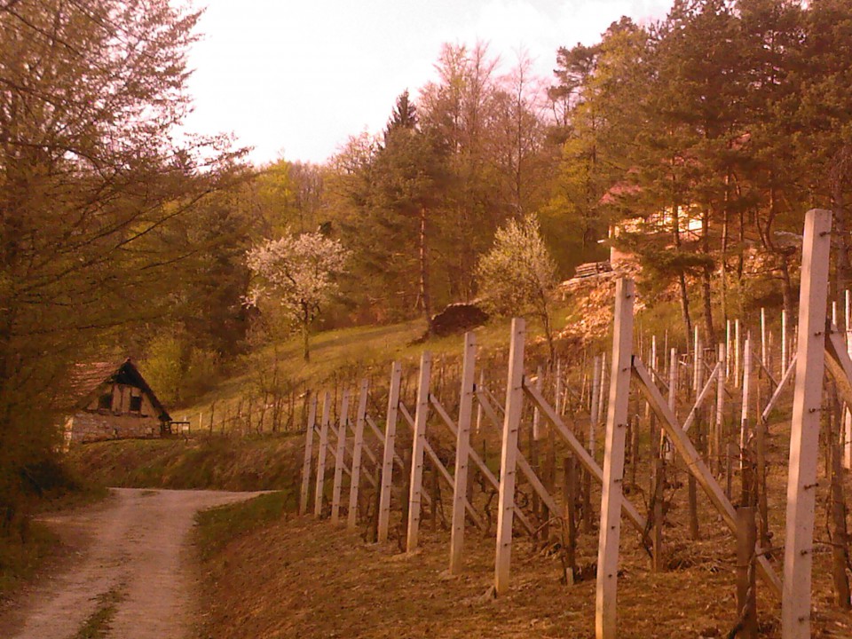 HONKA - foto povečava