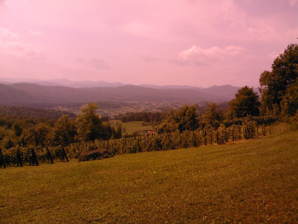 HONKA - foto povečava