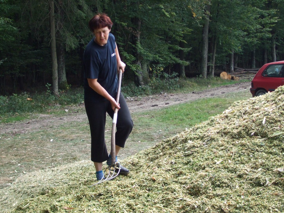 Rezanje silosa - foto povečava