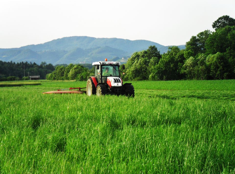 2 košnja 2010 - foto povečava