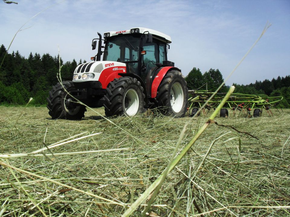 2 košnja 2010 - foto povečava