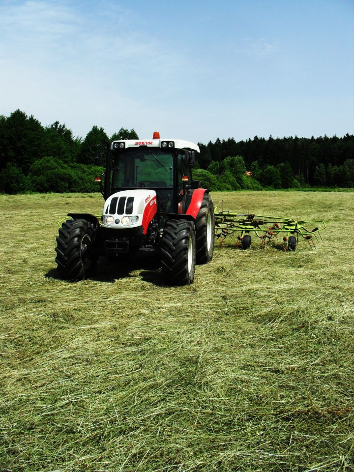 2 košnja 2010 - foto povečava