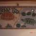mozaik želvi