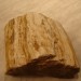  Okamenel kos lesa,velikost 20cm-najdeno leta 1989 ob zasipanju okoli hiše-vas Klanec