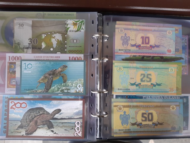 Bankovci želv  kovanci želv - foto