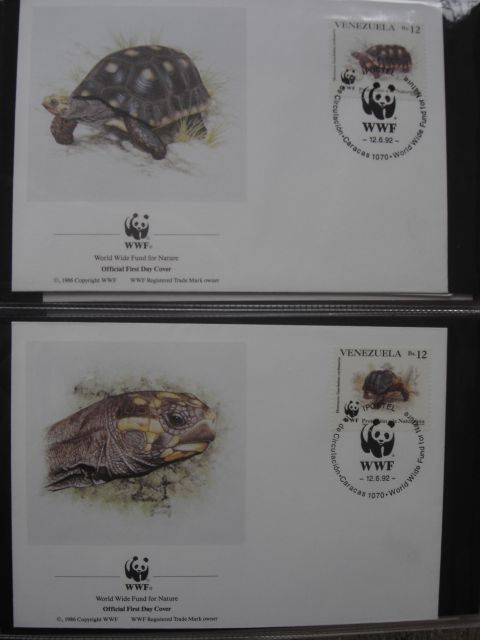 Razglednice želv  pisma želv - foto
