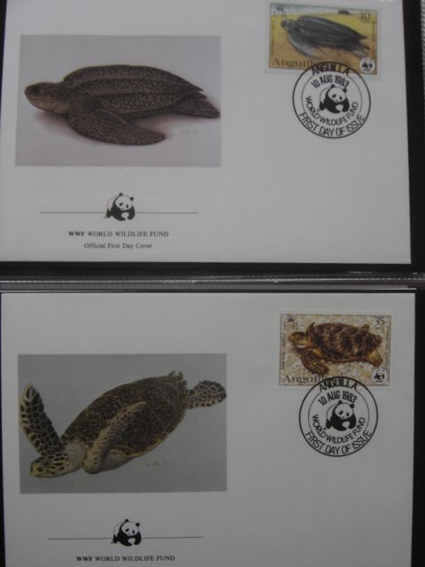 Razglednice želv  pisma želv - foto
