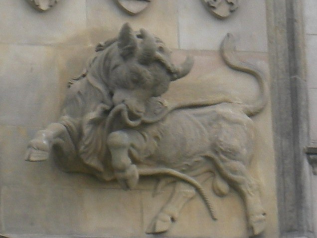 Mladič bivola nad vhodom na grajsko dvotišče in je simbol gradu.