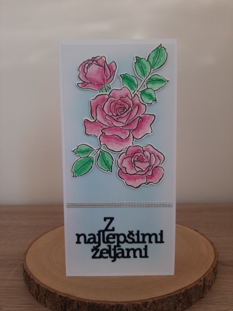 Rojstni dan - ženske - foto