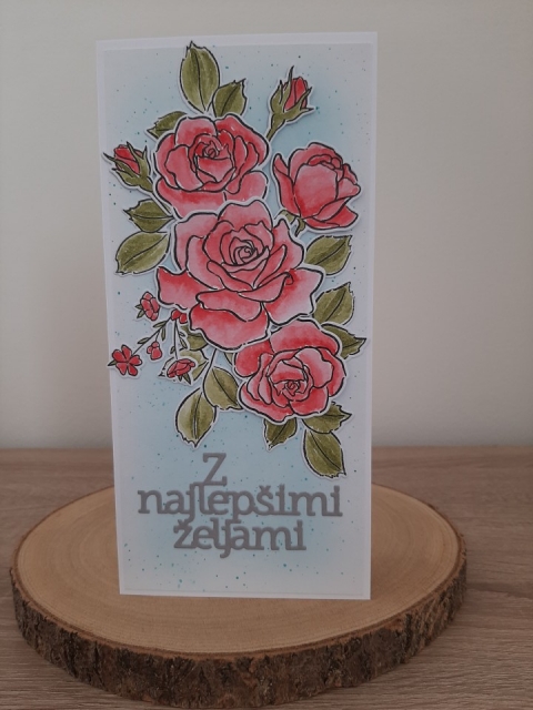 Rojstni dan - ženske - foto