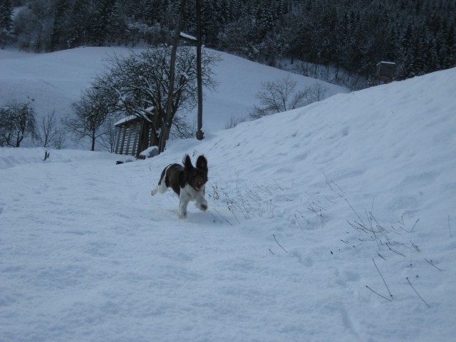 Naša uživačka na snegu :-)