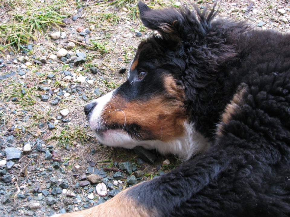 8.2.2009