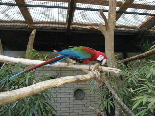 Zoo - foto