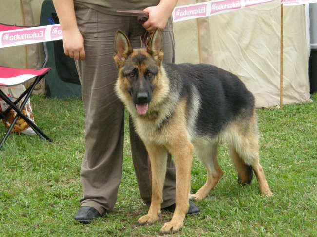 CAC Zasavje in CAC Trbovlje - foto povečava