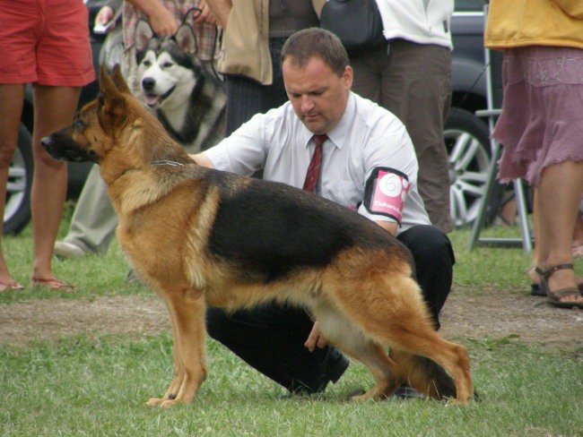 CAC Zasavje in CAC Trbovlje - foto povečava