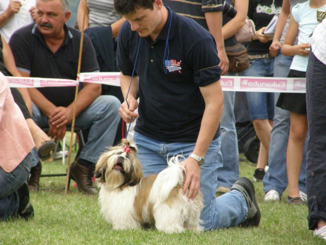 CAC Zasavje in CAC Trbovlje - foto povečava