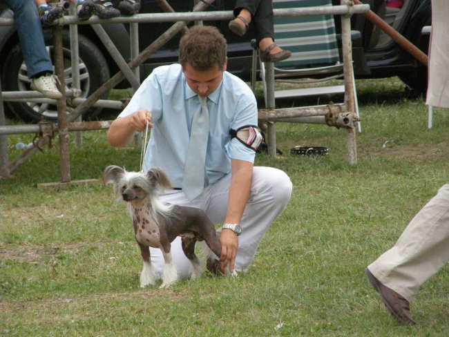 CAC Zasavje in CAC Trbovlje - foto povečava