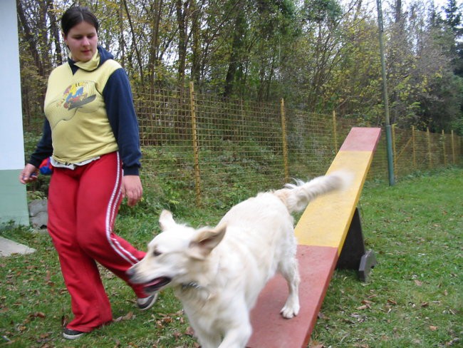 Agility - foto povečava