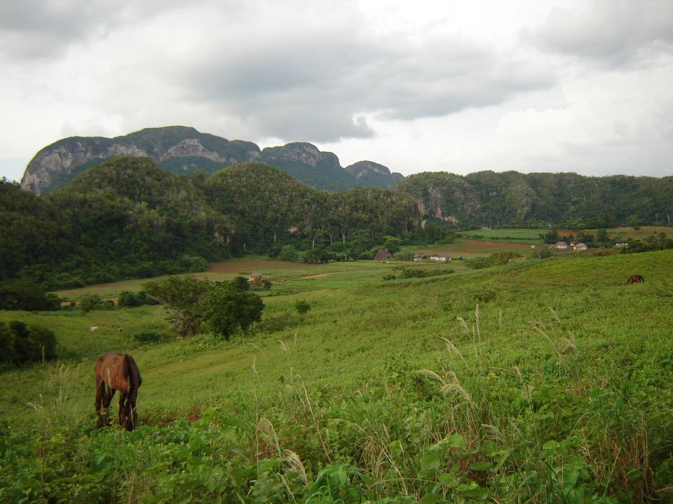 Cuba - foto povečava