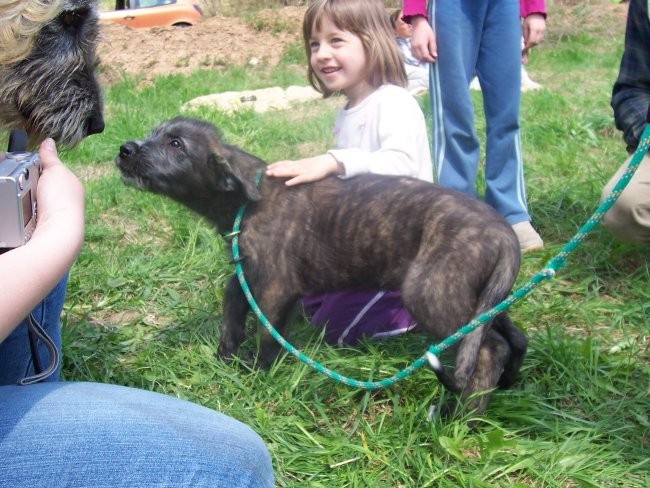 Coursing Velike Lašče 06 - foto povečava