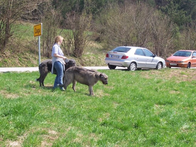 Coursing Velike Lašče 06 - foto povečava